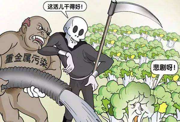 糧食安全如何得到保障？